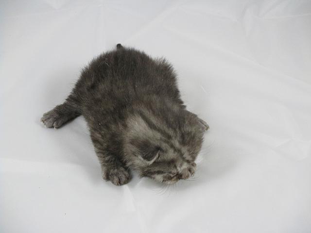 IMG 0638